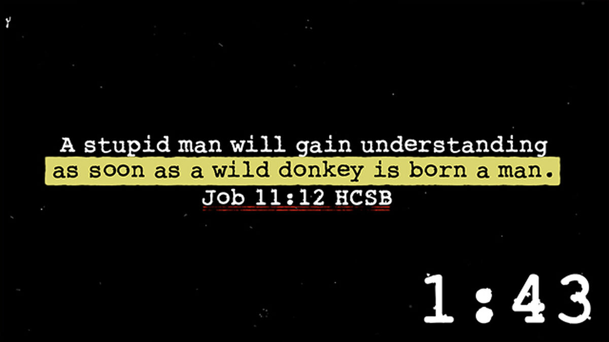 Bible Burns Countdown image number null